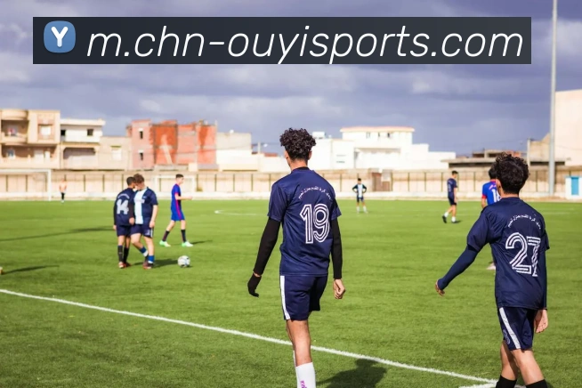 体育下注平台生态图