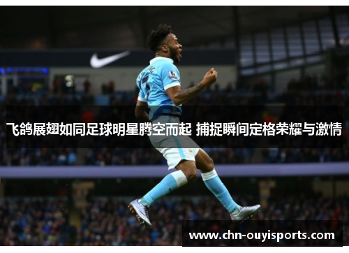 飞鸽展翅如同足球明星腾空而起 捕捉瞬间定格荣耀与激情 飞鸽展翅如同足球明星腾空而起 捕捉瞬间定格荣耀与激情