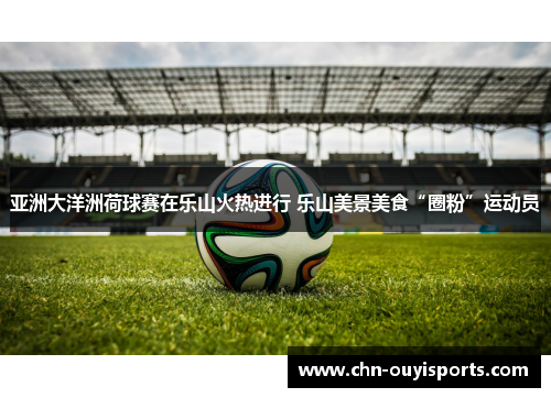 亚洲大洋洲荷球赛在乐山火热进行 乐山美景美食“圈粉”运动员 亚洲大洋洲荷球赛在乐山火热进行 乐山美景美食“圈粉”运动员
